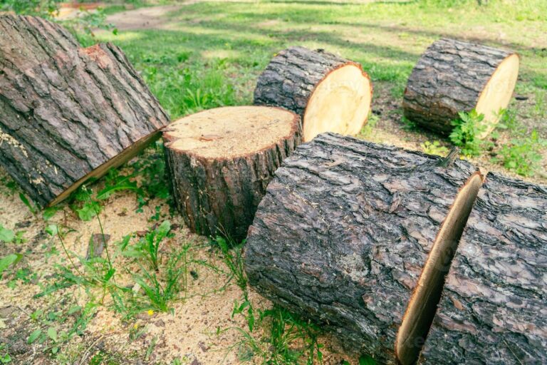 Green Wood for Carving: Complete Guide to Carving Fresh-Cut Timber